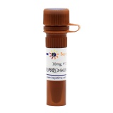 碧云天 碘化丙啶(≥94.0%, Reagent grade)(ST1569-10mg)