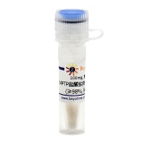 碧云天 Kanamycin (10mg/ml,1000X)(卡那霉素)(ST102)