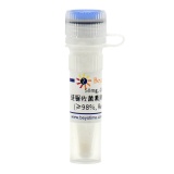 碧云天 链脲佐菌素(糖尿病造模试剂) (≥98%, Reagent grade)(ST1668-50mg)