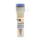 碧云天 胶原蛋白酶来源于溶组织梭菌( Type II, ≥125CDU/mg solid, Reagent grade)(ST2303-25mg)