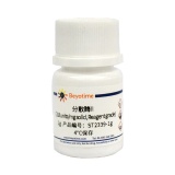 碧云天 分散酶II (≥0.5units/mg solid, Reagent grade)(ST2339-1g)