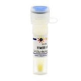 碧云天 胆碱氧化酶来自产碱菌属(≥10units/mg solid, Reagent grade)(ST1159-50UN)