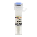 碧云天 凝血酶来源于牛血浆(40-300 NIH units/mg protein, Reagent grade)(ST1699-2KU)