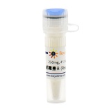 碧云天 Hygromycin B(潮霉素B)(ST1389-250mg)
