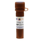 碧云天 利福平(≥97%, Reagent grade)(ST1632-250mg)