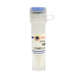 碧云天 硫酸粘杆菌素(≥15,000U/mg, Reagent grade)(ST2290-250mg)