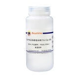 碧云天 SDS-PAGE快速电泳液(Tris-Gly, 20X)(P0561-500ml)