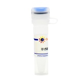 碧云天 毕赤酵母X-33甘油菌(D0414)