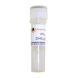 碧云天 DH5α甘油菌(D0351)