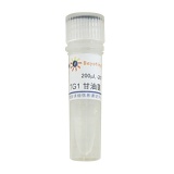 碧云天 TG1甘油菌(D0389)
