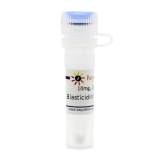 碧云天 Blasticidin S HCl (灭瘟素S)(ST018-10mg)