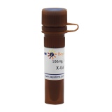 碧云天 X-Gal(5-溴-4-氯-3-吲哚-β-D-半乳糖苷)(ST912)