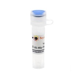 碧云天 pET-N-His-Thrombin-C-His(pET-N-His-Thrombin-C-His质粒)(D2908-1μg)