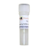 碧云天 Annealing Buffer for DNA Oligos (5X)(DNA退火缓冲液)(D0251)