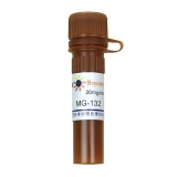 碧云天 MG-132 (Proteasome抑制剂)(S1748-1mg)