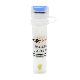 碧云天 b-AP15 (DUB抑制剂)(SG0020-5mg)