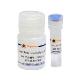 碧云天 Cas9 Nuclease (SpCas9)（Cas9 核酸内切酶）(D0511L)