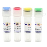 碧云天 T4 RNA Ligase 1 (ssRNA Ligase)（T4 RNA连接酶1）(R0621S)