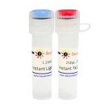 碧云天 超快速DNA连接试剂盒(Instant DNA Ligation Kit)(D7001M)