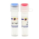 碧云天 Q6U High-Fidelity DNA Polymerase(Q6U 高保真DNA聚合酶)(D7239S)