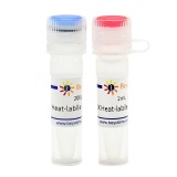 碧云天 Uracil-DNA Glycosylase (Heat-labile, Cod)（热敏型鳕鱼UDG）(D7364S)