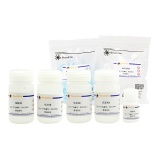 碧云天 RNAeasy病毒RNA抽提试剂盒(离心柱式)(R0035M)