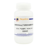 碧云天 裂解液(RNAeasy动物RNA抽提试剂盒用)(R0046-250ml)