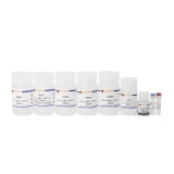 碧云天 BeyoMag 磁珠法动物RNA抽提试剂盒(R0077L)