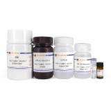 碧云天 Urea-PAGE凝胶配制试剂盒(RNA专用)(R0218S)