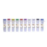 碧云天 T7 High Yield RNA Transcription Kit(T7高产量RNA转录试剂盒)(R7018S)