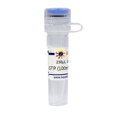 碧云天 GTP (100mM, Nuclease free)(GTP溶液)(D7380-250μl)