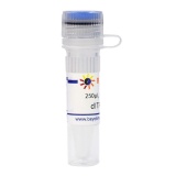 碧云天 dITP (100mM)（脱氧肌苷三磷酸）(D7361-250μl)