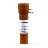 碧云天 BeyoFast Probe qPCR Mix (2X)（实时荧光定量PCR预混液）(D7271-1ml)