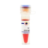 碧云天 NA-Green Plus (EB升级换代产品, 2000X)(D0136-1ml)