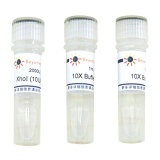 碧云天 XhoI(XhoI内切酶)(D6721)