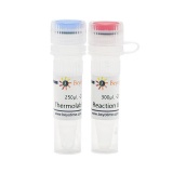 碧云天 Thermolabile dsDNasez(热敏感性双链脱氧核糖核酸酶)(D7078M)