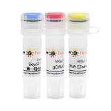 碧云天 BeyoRT III cDNA合成试剂盒(with gDNA EZeraser)(D7180L)