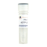 碧云天 dGTP (100mM)(脱氧鸟苷三磷酸)(D7355)