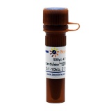 碧云天 InstantView红色荧光DNA Ladder(0.1-10kb, 21 bands, 溴酚蓝)(D0115S)
