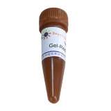 碧云天 Gel-Red (EB升级换代产品, 10000X)(D0140)