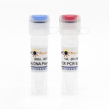 碧云天 Taq DNA Polymerase(Taq酶)(D7205)