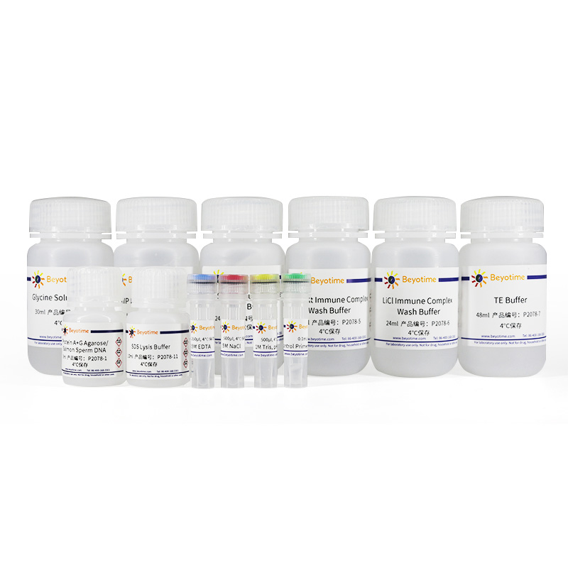 碧云天 ChIP Assay