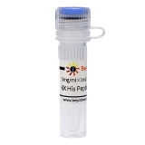 碧云天 6X His Peptide (6X His多肽)(P9811-5mg)