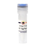 碧云天 V5 Tag Peptide (V5 Tag多肽)(P9813-25mg)