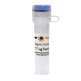 碧云天 T7 Tag Peptide (T7 Tag多肽)(P9819-1mg)
