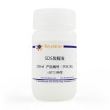 碧云天 SDS裂解液(P0013G)