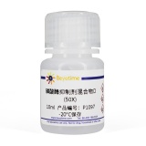 碧云天 磷酸酶抑制剂混合物D (50X)(P1097)