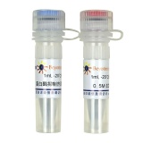 碧云天 蛋白酶抑制剂混合物(哺乳动物样品抽提用, 100X)(P1010)