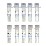 碧云天 蛋白酶抑制剂混合物(哺乳动物样品抽提用, 100X)(P1011)