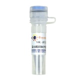 碧云天 蛋白酶抑制剂混合物(植物样品抽提用, 100X)(P1015)
